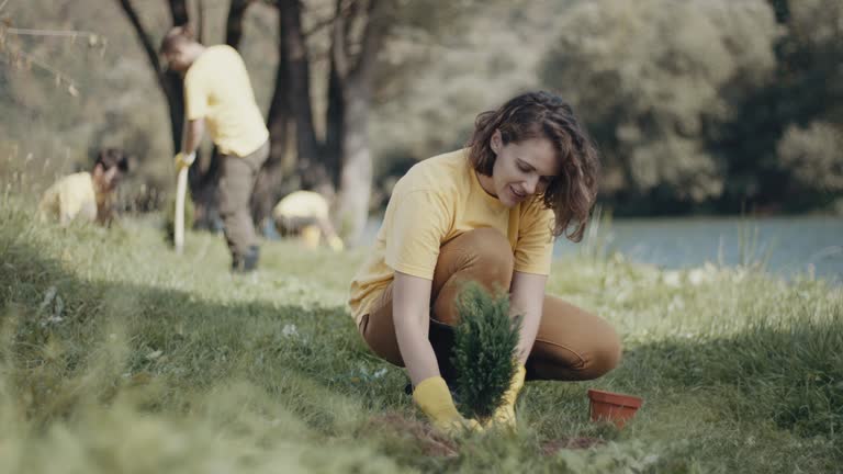 Best Soil Testing and Treatment  in Waupun, WI